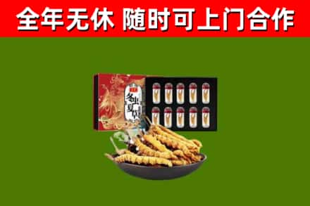 双阳回收冬虫夏草价格